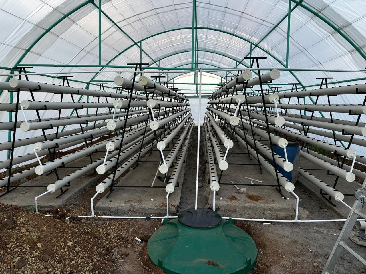 Commercial greenhouse hydroponic installation