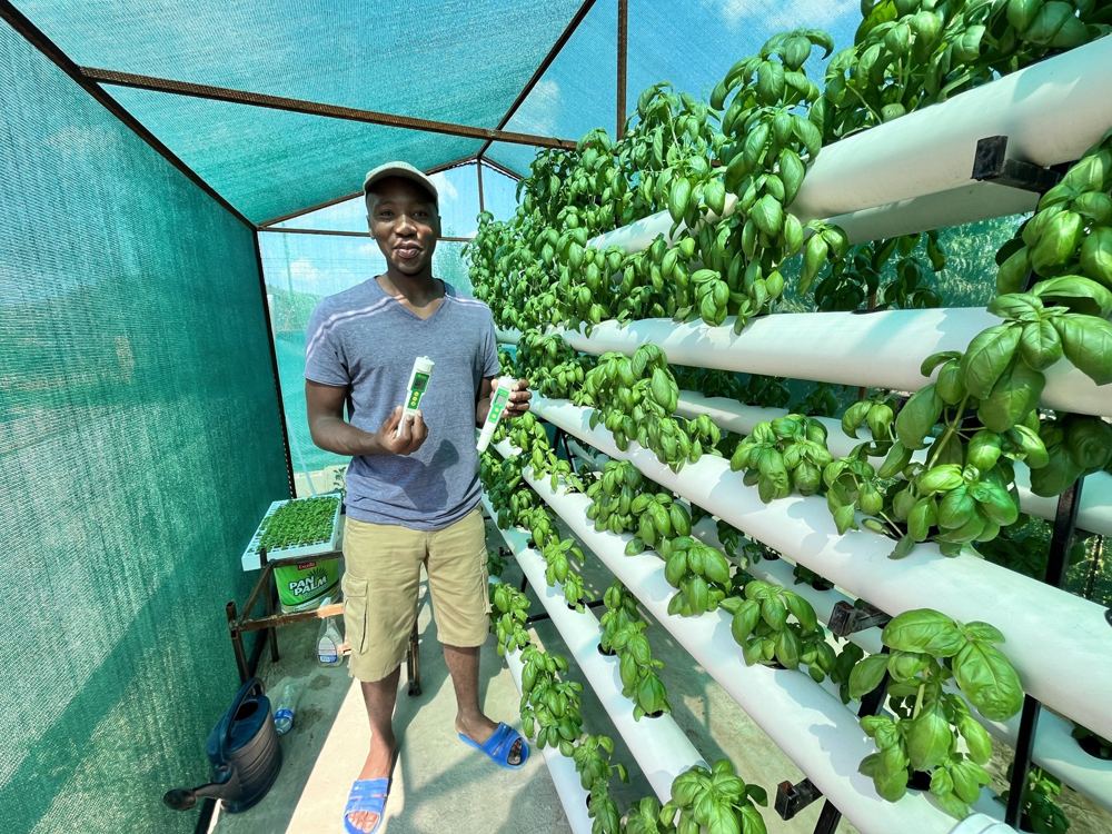 Backyard hydroponic system