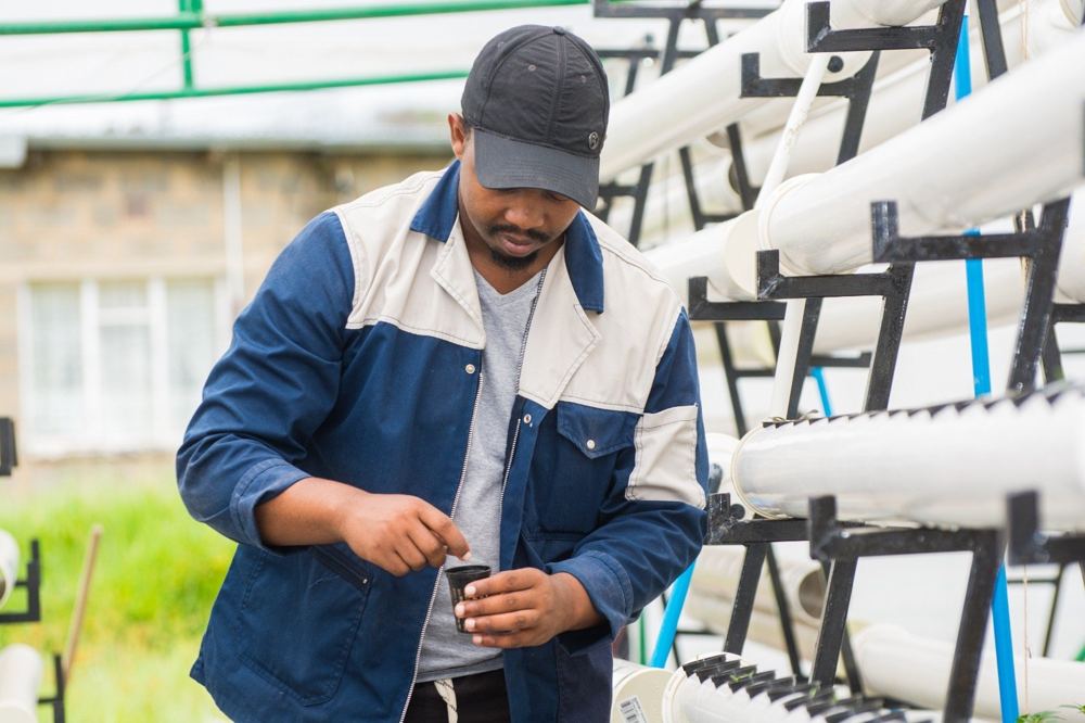 Hands-on training at an outdoor hydroponic system